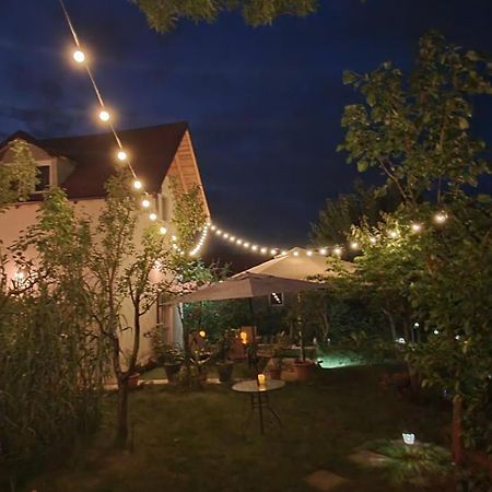 Forest Inn Izvorani Exterior photo